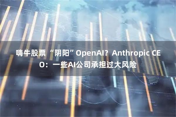 嗨牛股票 “阴阳”OpenAI？Anthropic CEO：一些AI公司承担过大风险